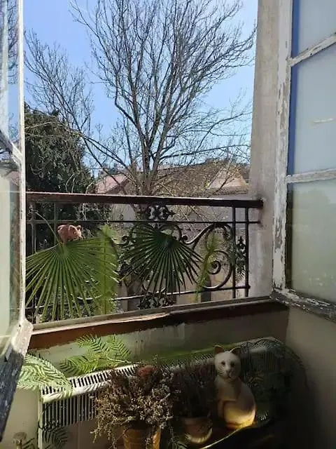 Appartement Notre Dame Paris